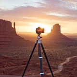 Lion Rock Traveler Pro including tripod head