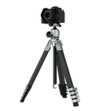 Lion Rock Traveler Pro including tripod head